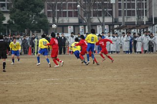 dsc_0036.jpg