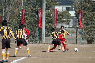 dsc_0085.jpg