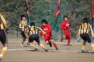 dsc_0117.jpg